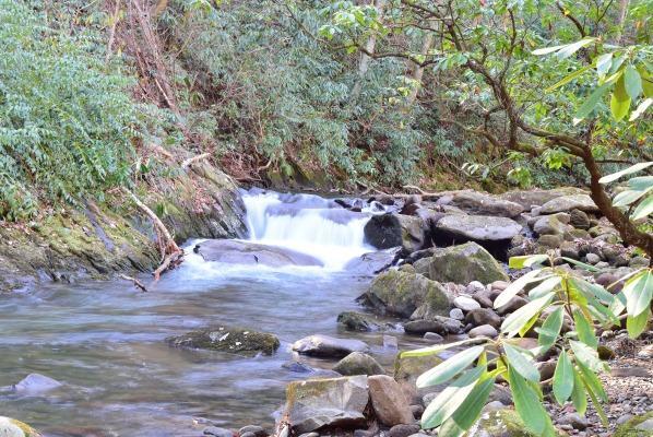 Buffalo Creek Bed And Breakfast Robbinsville Ngoại thất bức ảnh