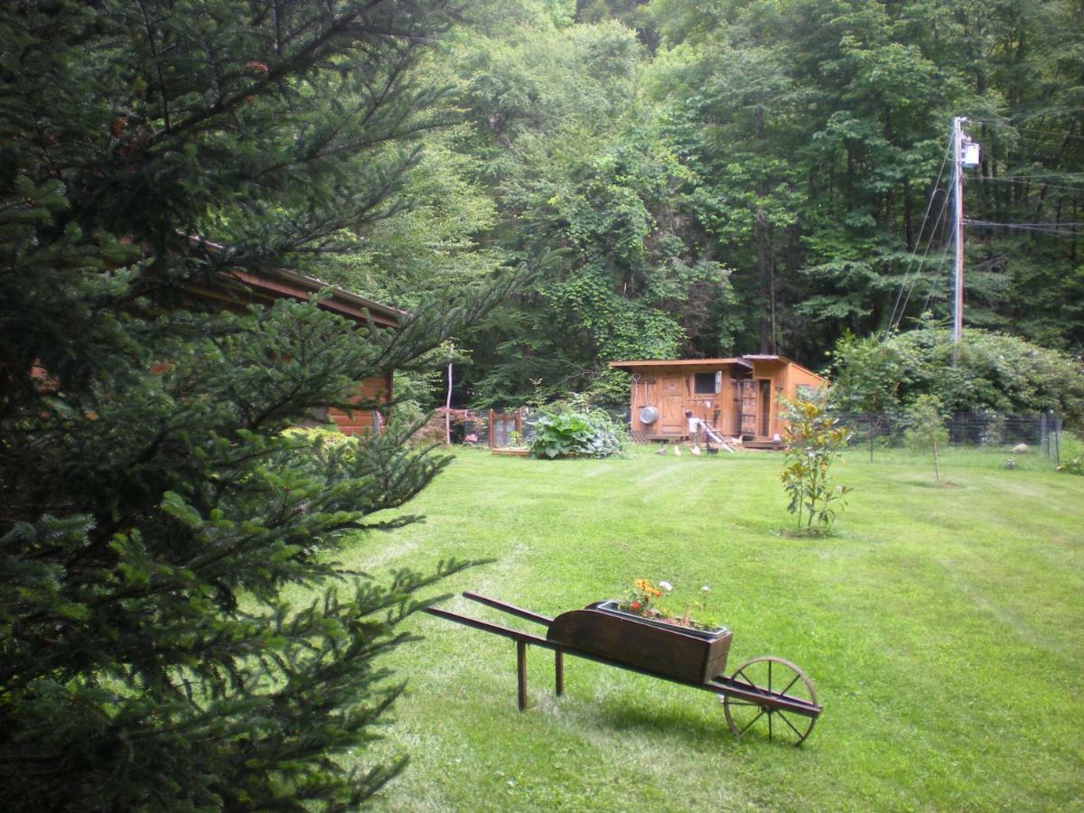 Buffalo Creek Bed And Breakfast Robbinsville Ngoại thất bức ảnh